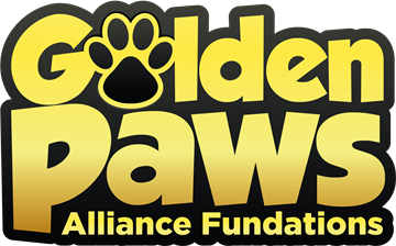 Golden Paws Foundation
